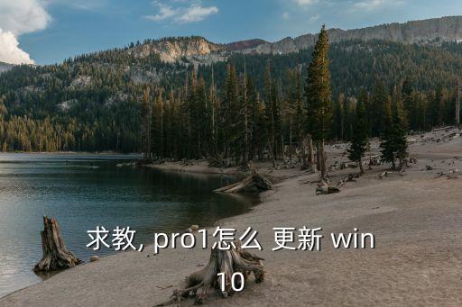 求教, pro1怎么 更新 win10