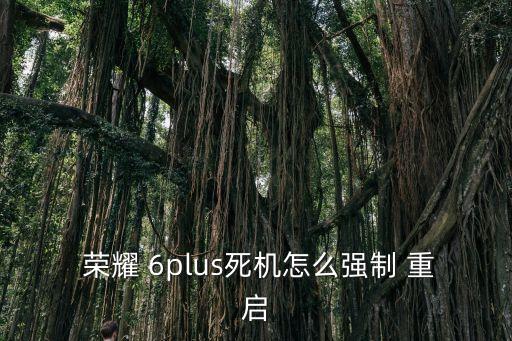  榮耀 6plus死機(jī)怎么強(qiáng)制 重啟