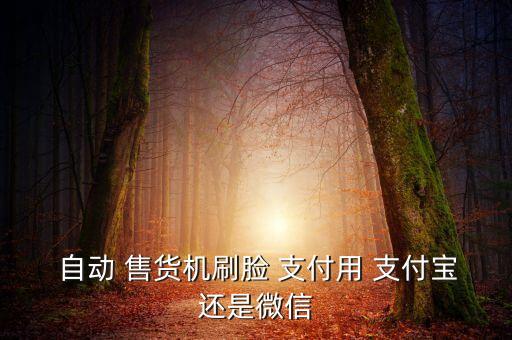  自動(dòng) 售貨機(jī)刷臉 支付用 支付寶還是微信