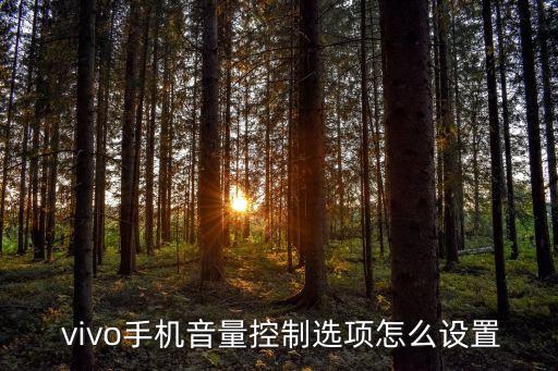 vivo怎么自動(dòng)聲音,vivo調(diào)整鬧鐘、通知和鈴聲聲音方法