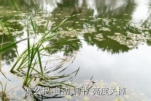 怎么把 自動 調(diào)節(jié) 亮度關(guān)掉