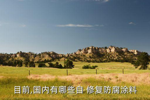 自動(dòng)修復(fù)涂層,自修復(fù)防腐涂料知多少?問與答（19）