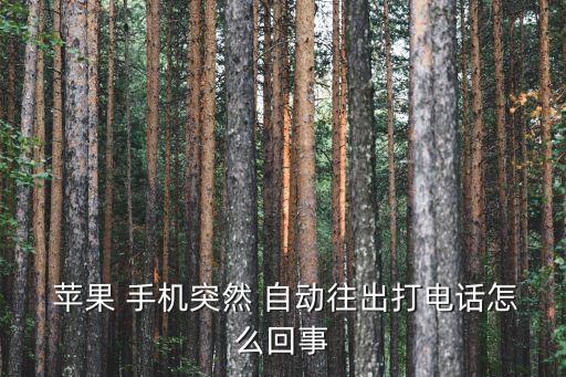  蘋果 手機(jī)突然 自動(dòng)往出打電話怎么回事