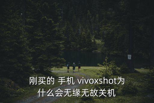 vivoxshot 手機套 自動休眠,堅毅向前預(yù)算案