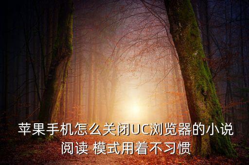  蘋(píng)果手機(jī)怎么關(guān)閉UC瀏覽器的小說(shuō) 閱讀 模式用著不習(xí)慣