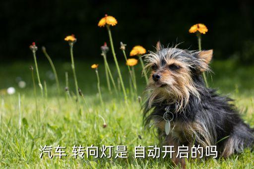 汽車 自動轉(zhuǎn)向,汽車轉(zhuǎn)向燈亮起提醒駕車人員注意行人