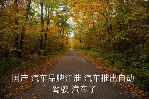 國產(chǎn) 汽車品牌江淮 汽車推出自動 駕駛 汽車了
