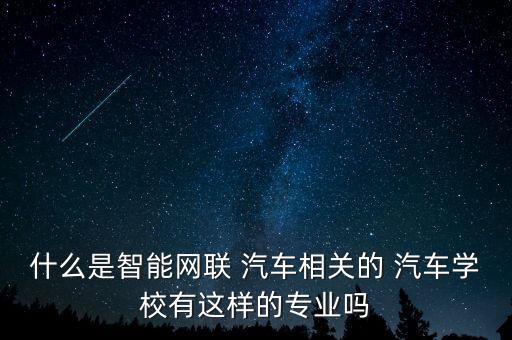 互聯(lián)網(wǎng)十自動(dòng)控制汽車,自動(dòng)駕駛汽車(自主車輛；)