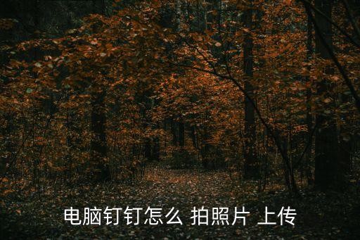 電腦釘釘怎么 拍照片 上傳