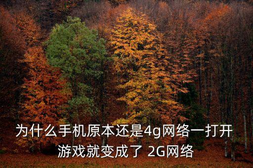 為什么手機(jī)原本還是4g網(wǎng)絡(luò)一打開 游戲就變成了 2G網(wǎng)絡(luò)