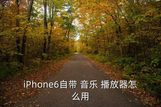 iphone6 自動(dòng)播放音樂,6月第二輪擁車證標(biāo)價(jià)全面上揚(yáng)