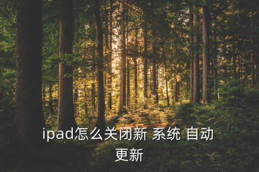 禁止ipad自動(dòng)更新系統(tǒng),如何進(jìn)行越獄?!