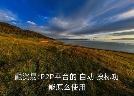 p2p自動(dòng)投標(biāo)好嗎,財(cái)務(wù)知多少?財(cái)政預(yù)算案2021