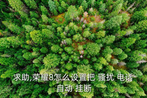 求助,榮耀8怎么設(shè)置把 騷擾 電話 自動 掛斷