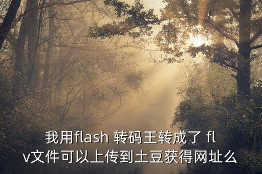 我用flash 轉(zhuǎn)碼王轉(zhuǎn)成了 flv文件可以上傳到土豆獲得網(wǎng)址么