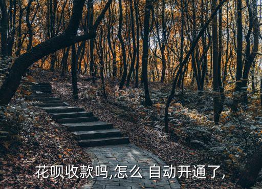 支付寶自動(dòng)使用花唄了,點(diǎn)擊花唄即可查詢消費(fèi)明細(xì)!