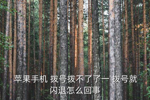  蘋果手機(jī) 撥號(hào)撥不了了一 撥號(hào)就閃退怎么回事