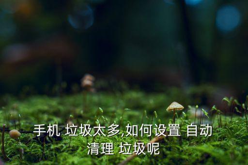  手機(jī) 垃圾太多,如何設(shè)置 自動(dòng) 清理 垃圾呢
