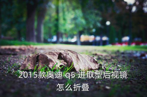 2015款?yuàn)W迪 q5 進(jìn)取型后視鏡怎么折疊