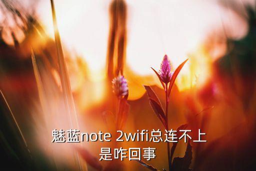  魅藍note 2wifi總連不上是咋回事