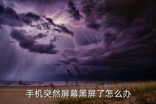  手機突然屏幕黑屏了怎么辦