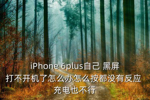 iPhone 6plus自己 黑屏打不開機了怎么辦怎么按都沒有反應 充電也不行