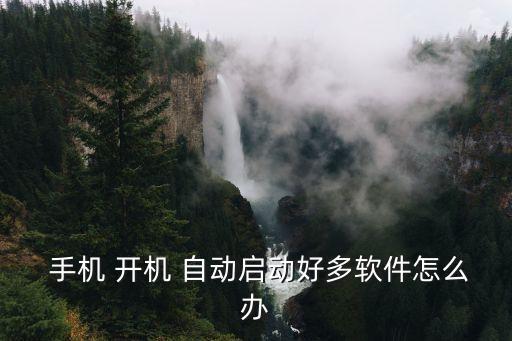 手機(jī)開機(jī)自動(dòng)運(yùn)行程序,2開機(jī)自啟動(dòng)功能藍(lán)色按鈕變藍(lán)色