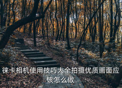 徠卡相機使用技巧大全拍攝優(yōu)質(zhì)畫面應(yīng)該怎么做