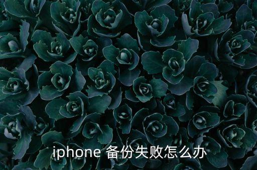  iphone 備份失敗怎么辦