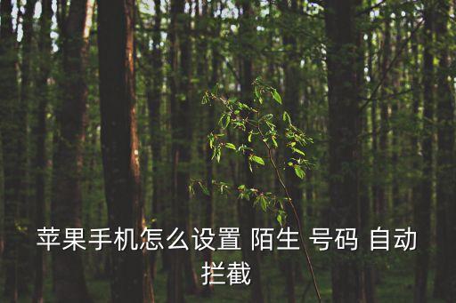蘋果手機(jī)怎么設(shè)置 陌生 號(hào)碼 自動(dòng)攔截