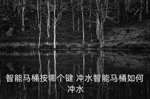 diy自動沖水,電動馬桶沖水按鈕位置不同電坐便器設(shè)計也不同
