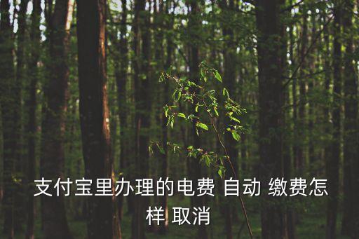  支付寶里辦理的電費 自動 繳費怎樣 取消
