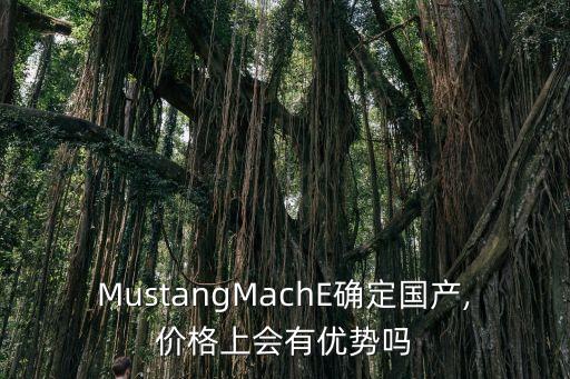 福特自動駕駛定價,福特銳界plus中大型豪華性能suv上市