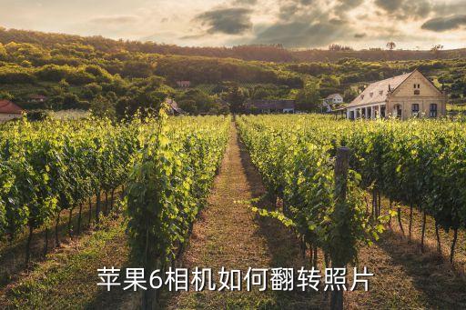  蘋(píng)果6相機(jī)如何翻轉(zhuǎn)照片