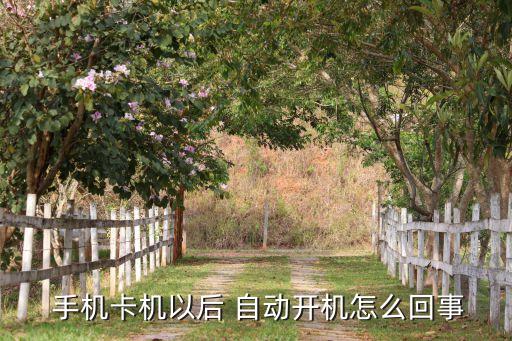手機卡自動開卡,如何申請開皇者卡?!