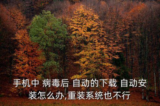 相冊病毒自動安裝,3手機病毒全掃描病毒一鍵體檢徹底清除