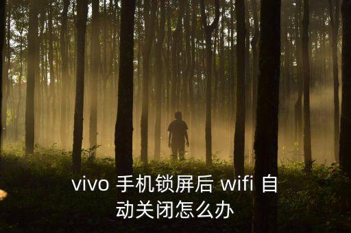 vivo 手機鎖屏后 wifi 自動關(guān)閉怎么辦