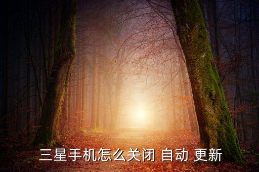  三星手機怎么關(guān)閉 自動 更新