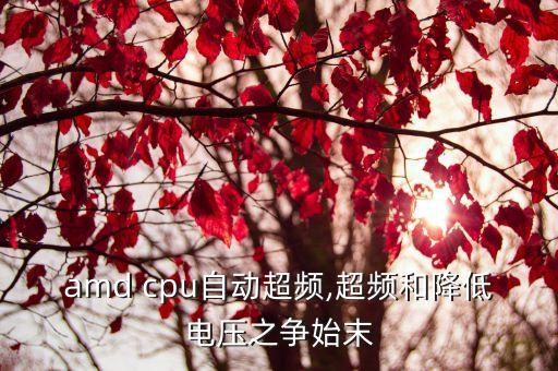 關(guān)閉amd cpu自動超頻,超頻和降低電壓之爭始末