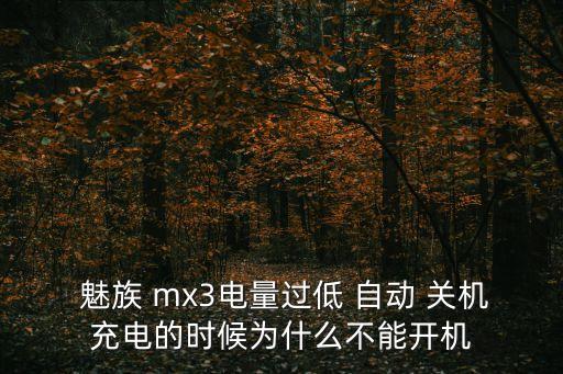  魅族 mx3電量過(guò)低 自動(dòng) 關(guān)機(jī)充電的時(shí)候?yàn)槭裁床荒荛_(kāi)機(jī)