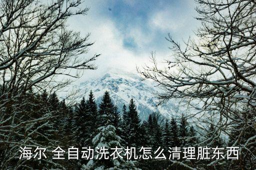  海爾 全自動洗衣機怎么清理臟東西