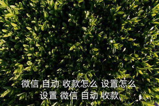  微信 自動 收款怎么 設(shè)置怎么 設(shè)置 微信 自動 收款