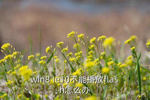 win8 ie10不能播放flash怎么辦