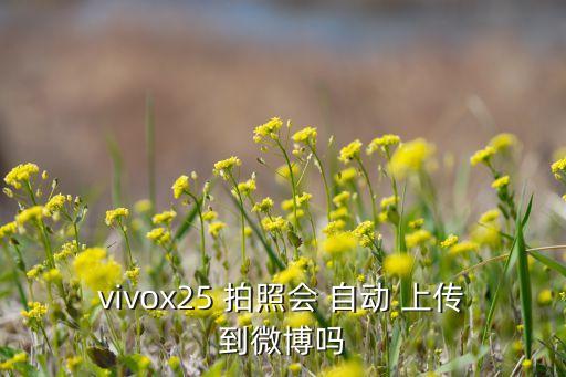 vivox25 拍照會 自動 上傳到微博嗎