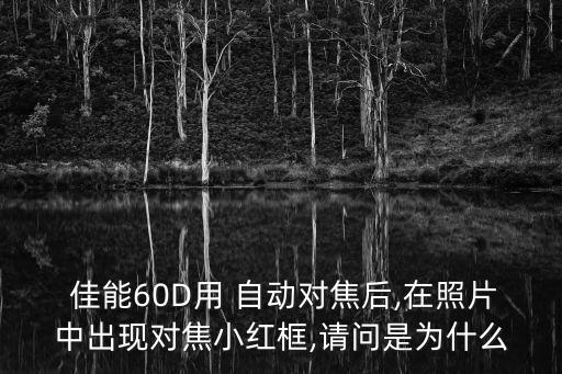 佳能60d 自動對焦,如何使用自動亮度優(yōu)化?