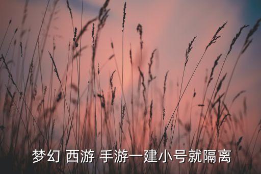  夢幻 西游 手游一建小號就隔離