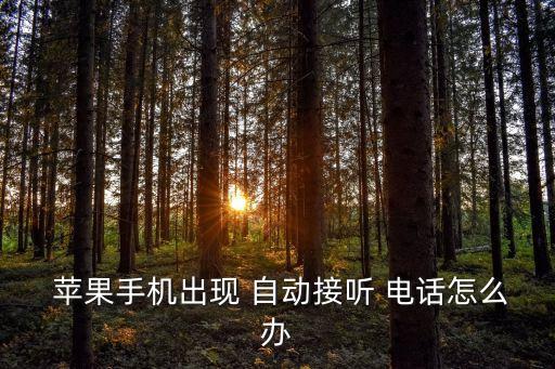  蘋果手機(jī)出現(xiàn) 自動(dòng)接聽 電話怎么辦