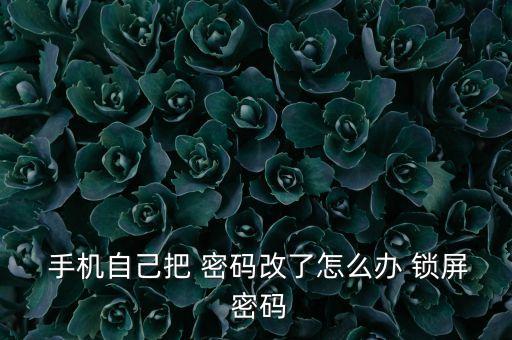 手機鎖屏密碼自動變,手機鎖屏密碼我忘了!解決方法如下