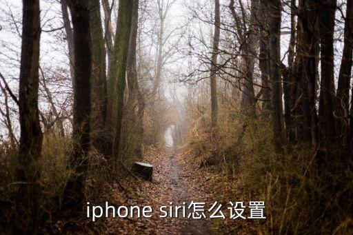 iphone siri怎么設置