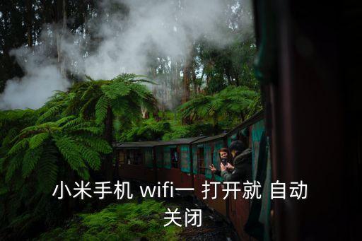 小米手機(jī) wifi一 打開就 自動(dòng) 關(guān)閉